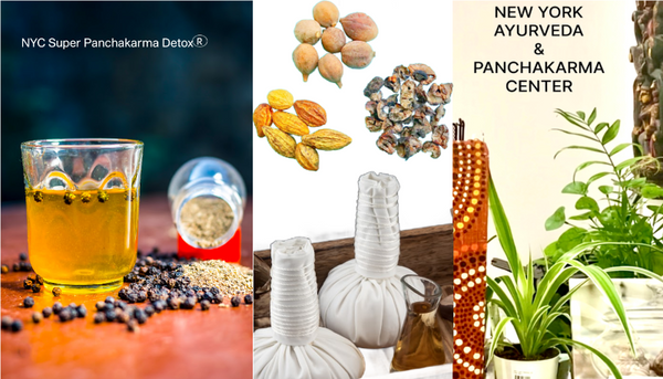 Panchakarma therapies at New York Ayurveda and Panchakarma Center