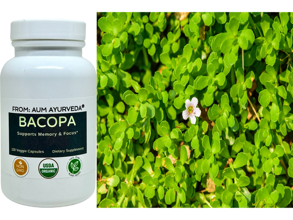 Organic Bacopa, Ayurvedic herb also known as Brahmi for mental clarity; calm mind to help you achieve restful sleep